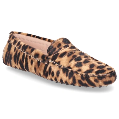 Shop Tod's Moccasins Gommini Mocassin  Pony Leather Lion Print Leopard In Brown