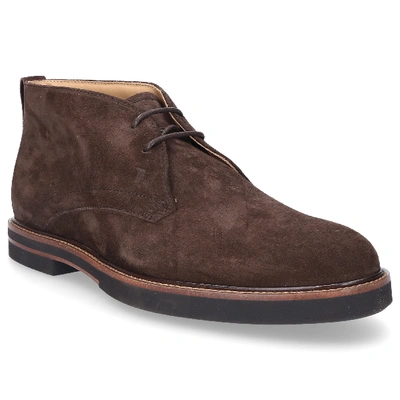 Shop Tod's Lace Up Shoes Polacco Suede In Brown