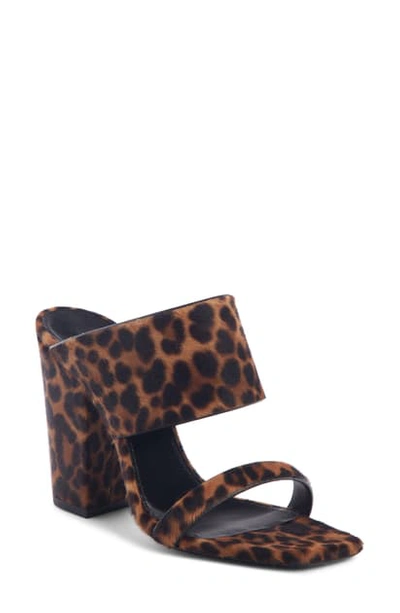 Shop Saint Laurent Oak Genuine Calf Hair Double Band Mule Sandal In Leopard