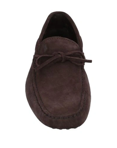 Tod's Suede Loafers In Brown