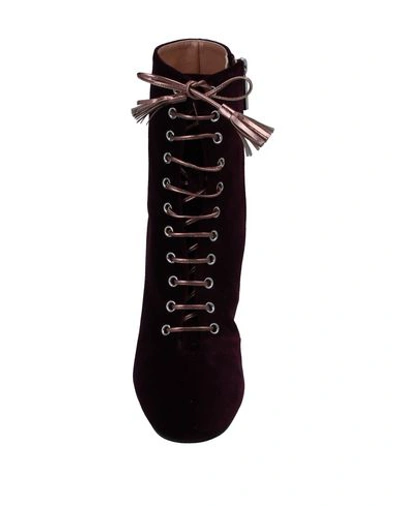 Pollini Ankle Boots In Purple