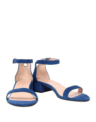 Shop Stuart Weitzman Sandals In Dark Blue