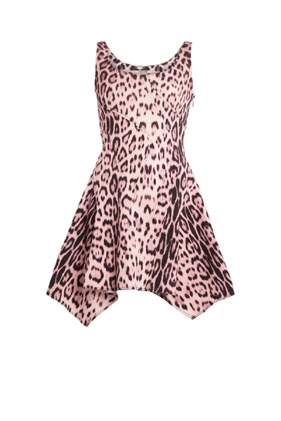 Shop Roberto Cavalli Heritage Jaguar Print Mini Dress In Pink