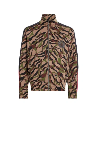 Shop Roberto Cavalli Tiger Twiga Jacquard Track Jacket In Brown