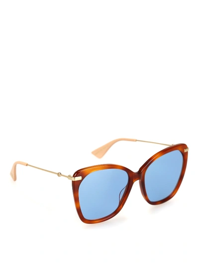 Shop Gucci Blue Lens Havana Over Sunglasses In Light Brown