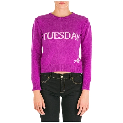 Shop Alberta Ferretti Women's Jumper Sweater Crew Neck Round Rainbow Week Tuesday In Purple