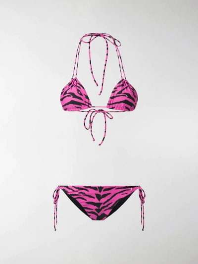 Shop Saint Laurent Tiger Print Bikini Bottom In Pink