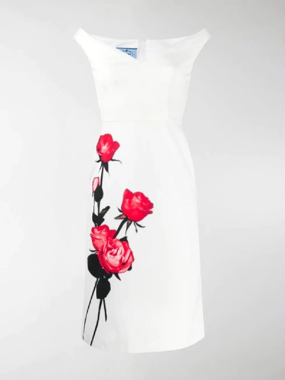 Shop Prada Rose Print Dress In White