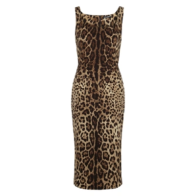 Shop Dolce & Gabbana Leopard-print Stretch-silk Midi Dress