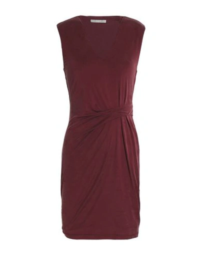 Shop Tart Collections Short Dresses In Maroon