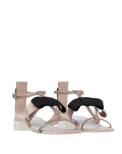 Shop Lanvin Sandals In Pale Pink