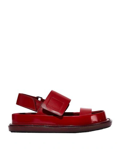 Shop Marni Sandals In Maroon