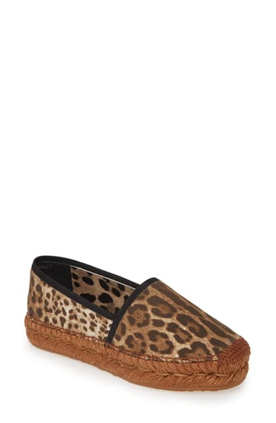 Shop Dolce & Gabbana Leopard Print Platform Espadrille