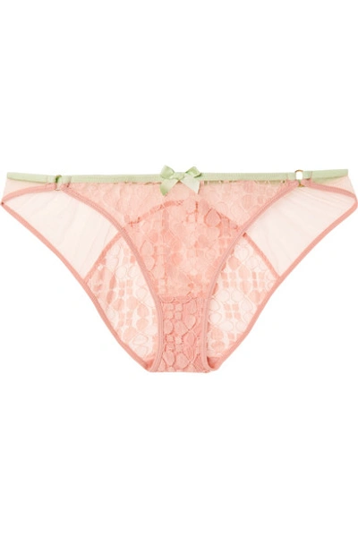 Shop Agent Provocateur Quin Leavers Lace And Tulle Briefs In Pink