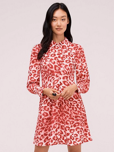 Shop Kate Spade Panthera Shirtdress In Soft Coral