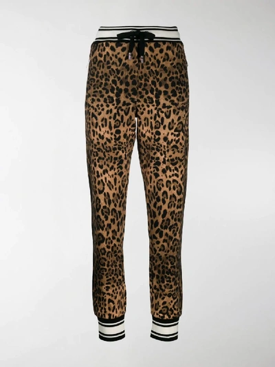 Shop Dolce & Gabbana Leopard Print Track Pants In Brown