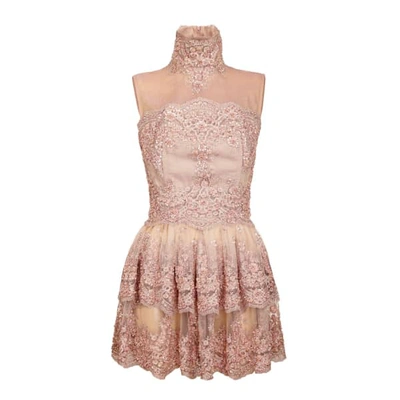 Shop Jiri Kalfar Short Powder Pink Dress With Embroidery