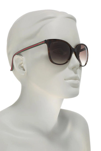 Shop Gucci 56mm Oversized Cat Eye Sunglasses In Havana
