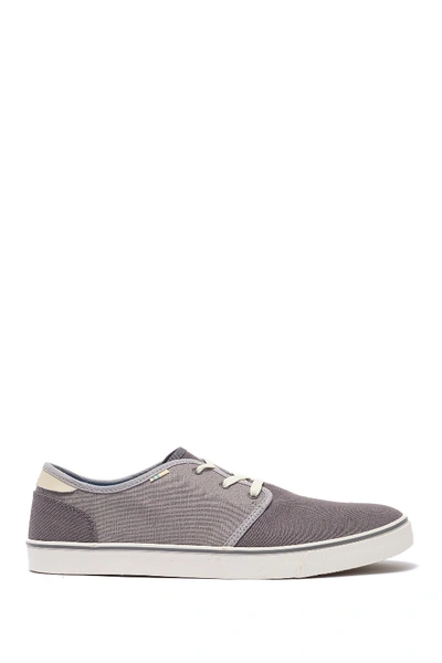 Shop Toms Carlo Sneaker In Grey