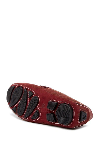 Shop Robert Graham Rampa Driving Shoe In Wine