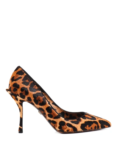 Shop Dolce & Gabbana Leo Patterned Haircalf Pumps In Animal Print