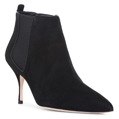 Shop Manolo Blahnik Dildi Black Ankle Boots