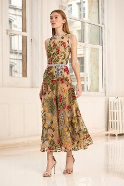 ml Monique Lhuillier Floral Embroidered Mesh A line Dress In Nude Multi ModeSens