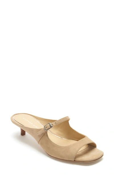 Shop Etienne Aigner Verity Mary Jane Slip-on Sandal In Saharra Suede