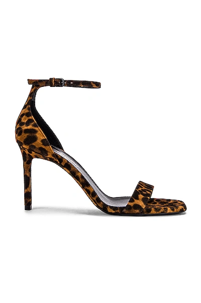 Shop Saint Laurent Leopard Amber Ankle Strap Sandals In Natural Coffee