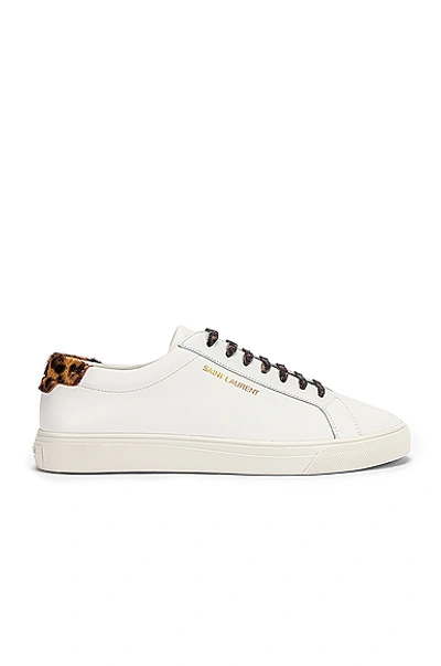 Shop Saint Laurent Low Top Andy Sneakers In White & Natural