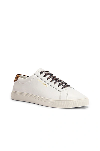 Shop Saint Laurent Low Top Andy Sneakers In White & Natural