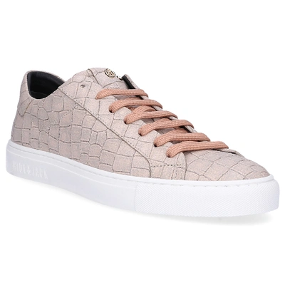 Shop Hide & Jack Low-top Sneakers Low Top Sneaker Calfskin Logo Beige