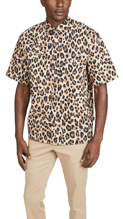 Shop Msgm Leopard Print Short Sleeve Button Down Shirt In Beige