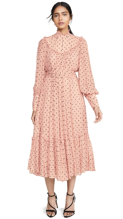 Shop Zimmermann Espionage Swing Yoke Dress In Dirty Peach/black Dot