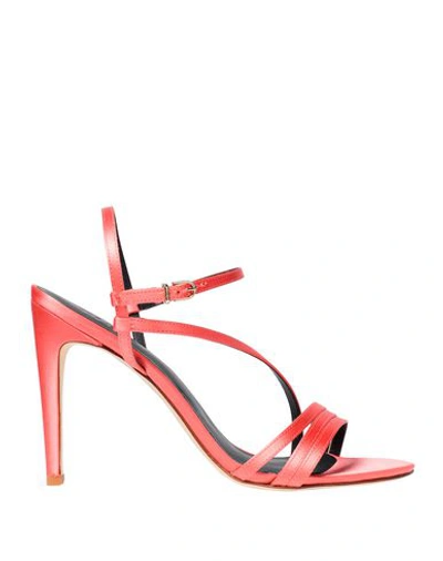 Shop Tibi Sandals In Pink