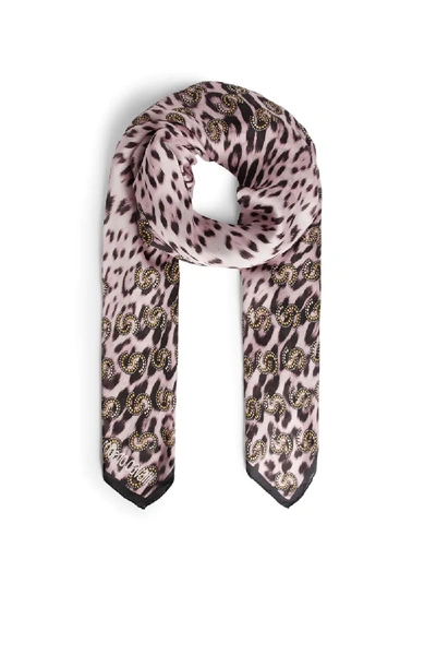 Shop Roberto Cavalli Heritage Jaguar Print Logo Shawl In Pink