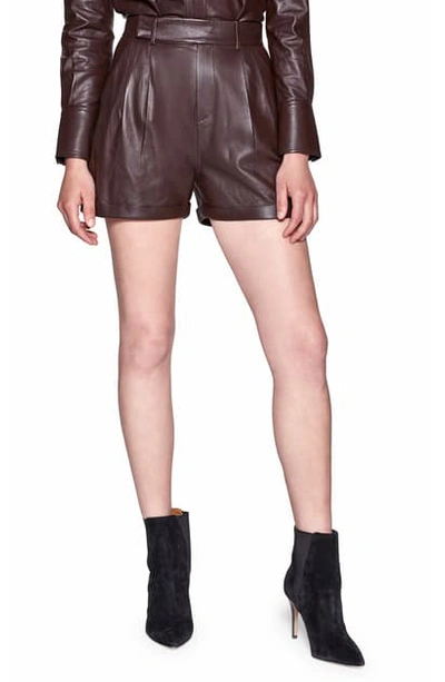 Shop Equipment Breeta Leather Shorts In Mole