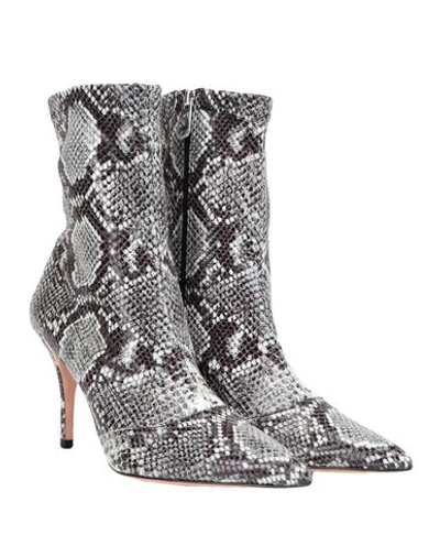 Shop Roberto Festa Ankle Boots In Grey