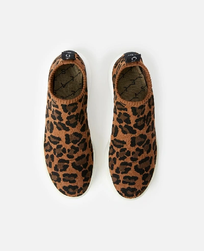 Shop Stella Mccartney Multicolor Loop Leopard Sneakers