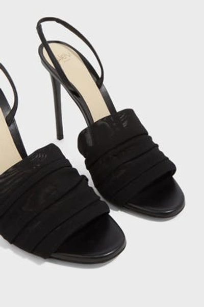Shop Alevì Olivia Tulle Slingback Heels In Black
