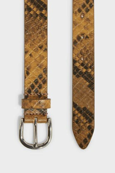 Shop Isabel Marant Zap Snake-effect Leather Belt In Yellow