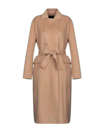 Shop Maje Coats In Camel