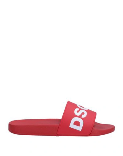 Shop Dsquared2 Man Sandals Red Size 7 Rubber