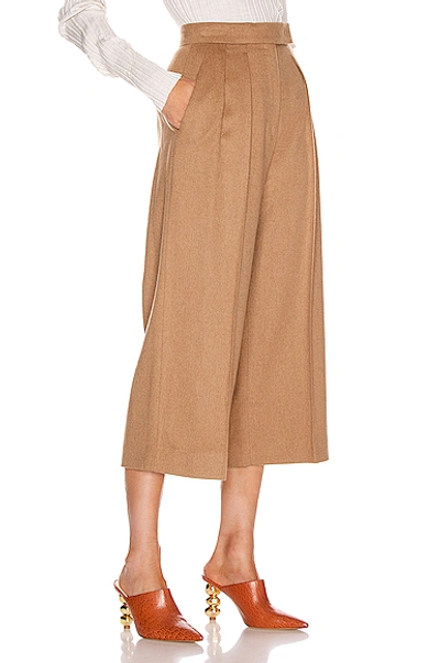 Shop Max Mara Peplo Pant In Camel