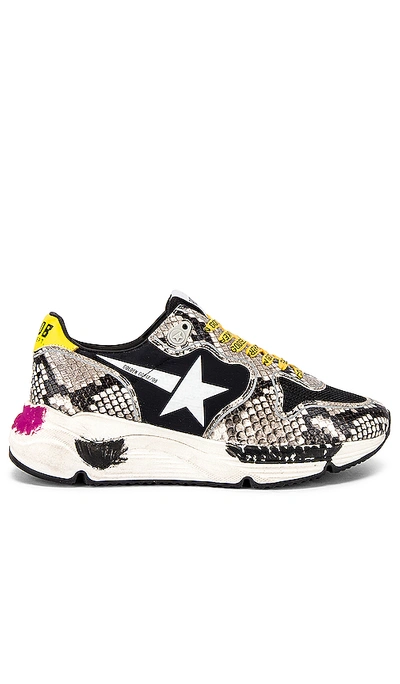 Shop Golden Goose Running Sole Trainer In Natural Snake Print & White Star