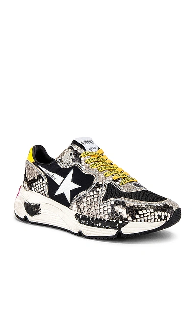 Shop Golden Goose Running Sole Sneaker In Natural Snake Print & White Star