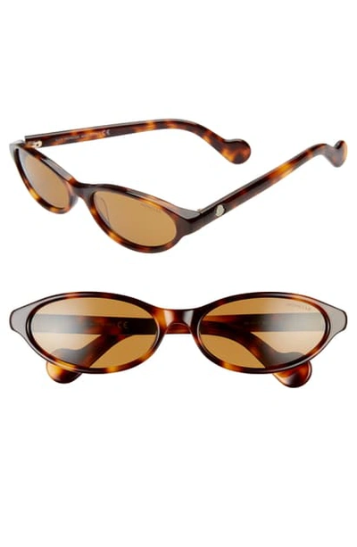 Shop Moncler 58mm Oval Sunglasses In Dark Havana/ Roviex
