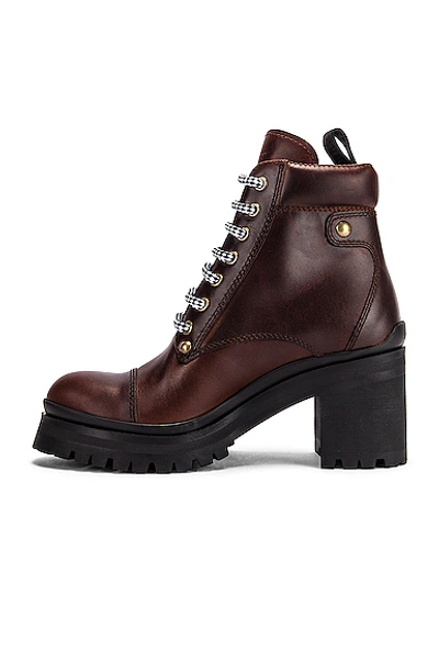 Shop Miu Miu Lace Up Chunky Leather Ankle Boots In Cognac