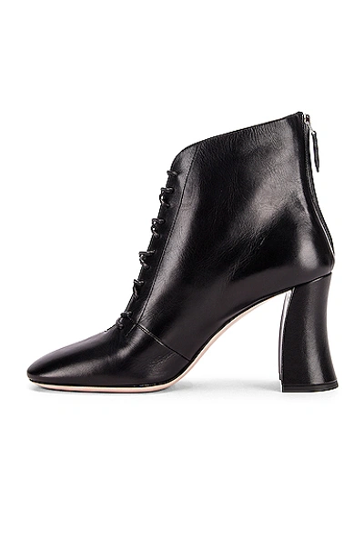 Shop Miu Miu Lace Up Leather Ankle Boots In Black