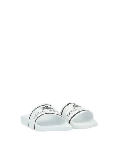 Shop Dolce & Gabbana Man Sandals White Size 8 Rubber